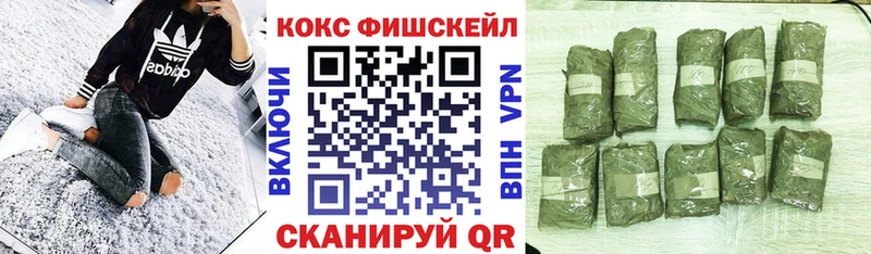 Cocaine Перу  гидра tor  Луга  хочу наркоту 