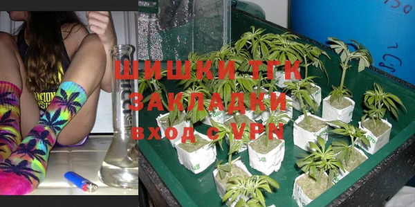 крисы Магас
