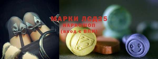 крисы Магас