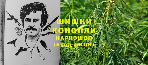 крисы Магас