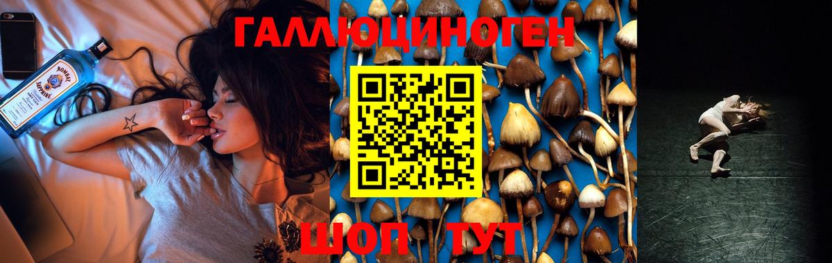 Луга  Псилоцибиновые грибы мухоморы  Вход с VPN 